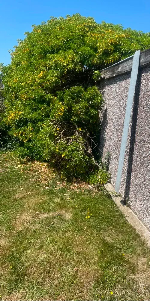 , Astaire Avenue Eastbourne