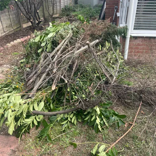Shed and Garden Clearance, Langney