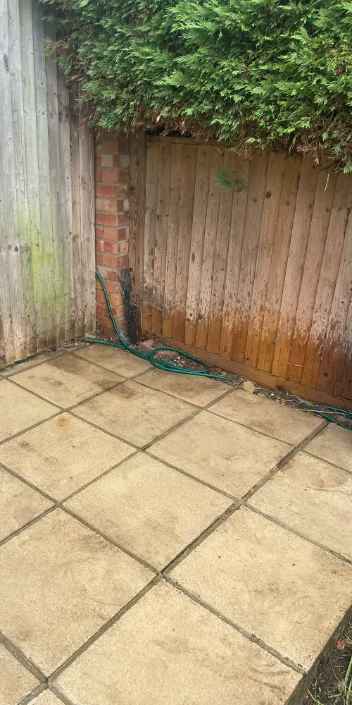 Garden Clearance, Willingdon
