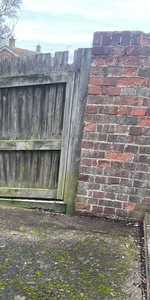 Garden Clearance, Xxx