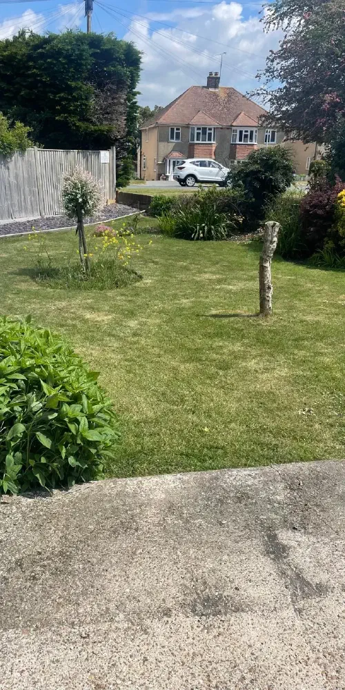 Garden Clearance, Xxx