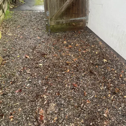 Garden Clearance, Willingdon