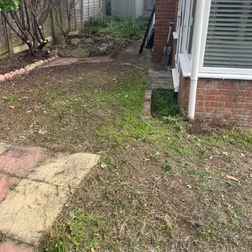 Shed and Garden Clearance, Langney