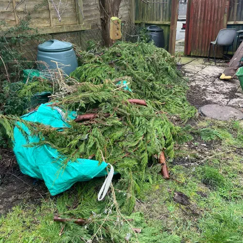 Garden Green Waste and Fencing, Xxx