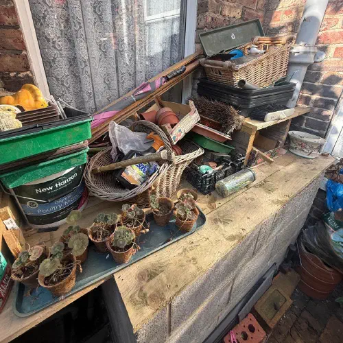 Garden Clearance, Devonshire