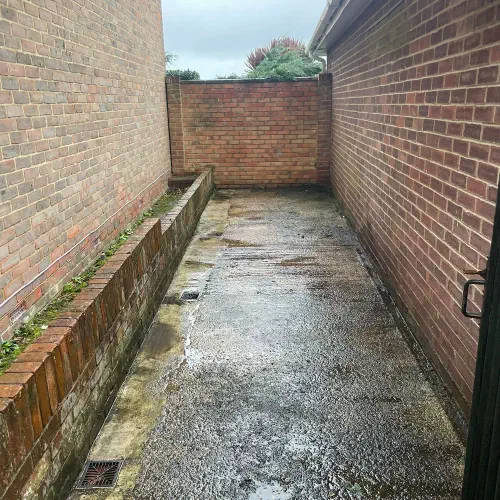 Garden and Shed Dismantling and Clearance, Willingdon